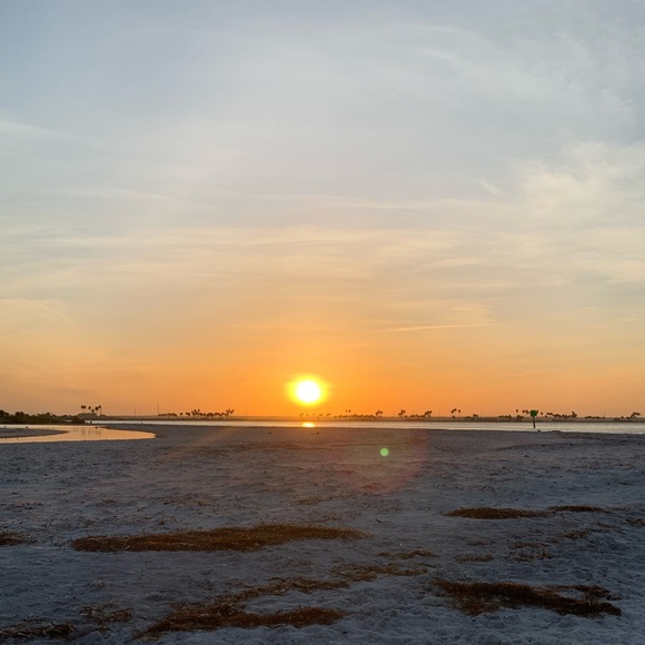 about PARROT KATIE🎀 - Picture 5 of 9